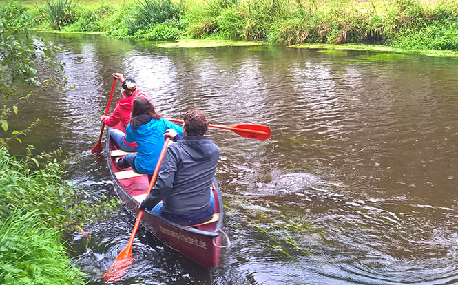 people canoeing in lake